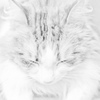 neko