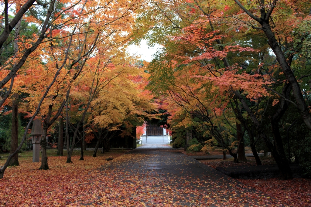 興聖寺