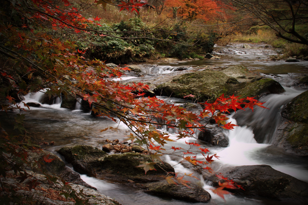 渓流と秋　2