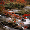 渓流と秋　2