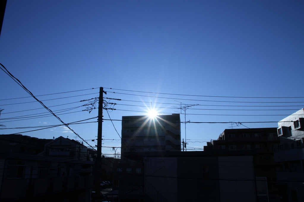 Morning Light