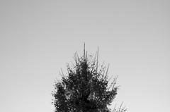 object