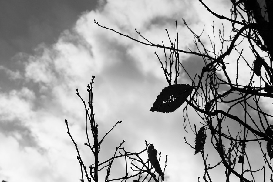 IMG_0424