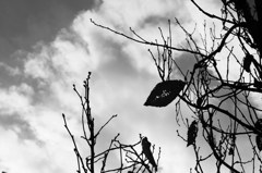 IMG_0424
