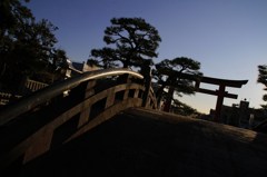IMG_1131