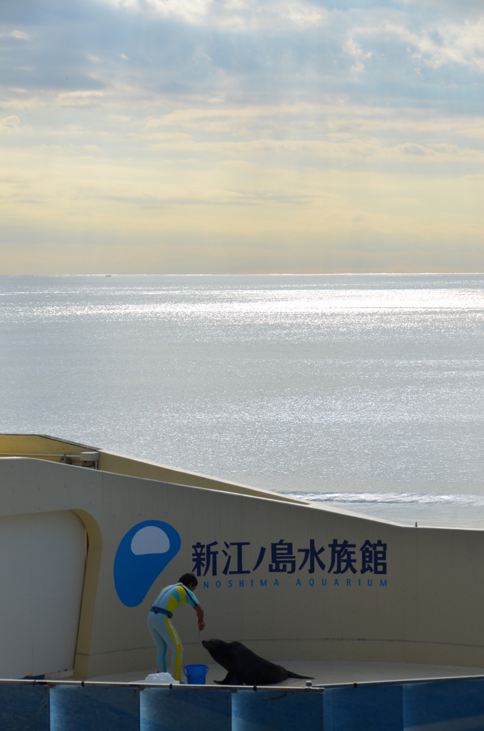 新江ノ島水族館