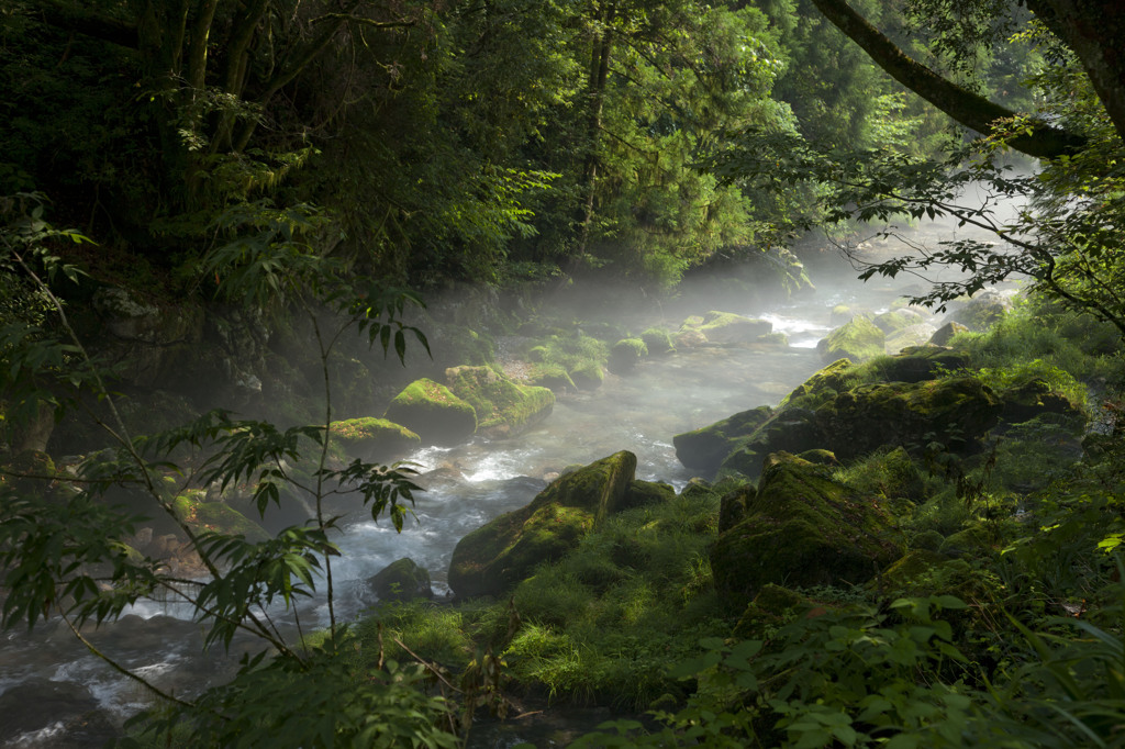 川霧の円原川