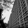 巣