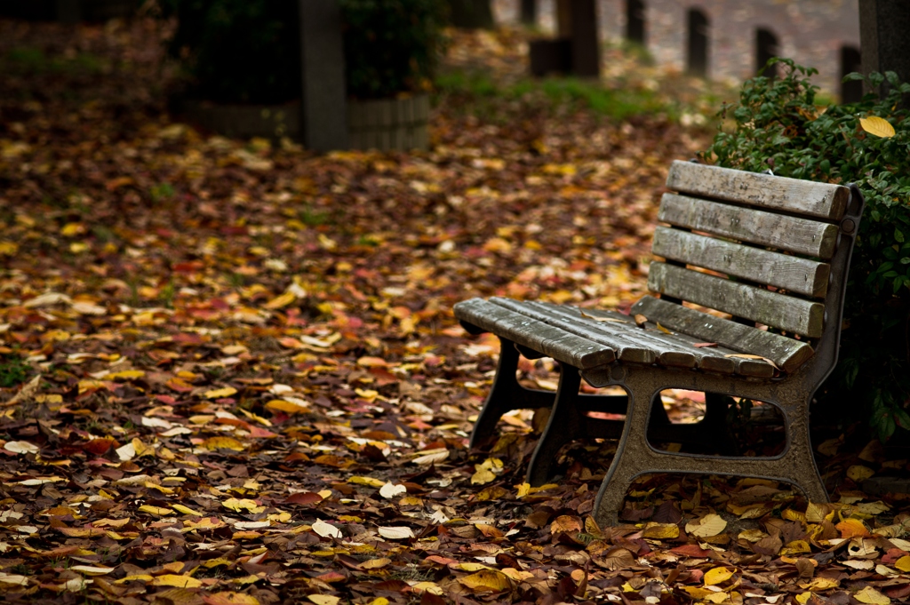 Fall bench