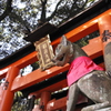 伏見稲荷神社