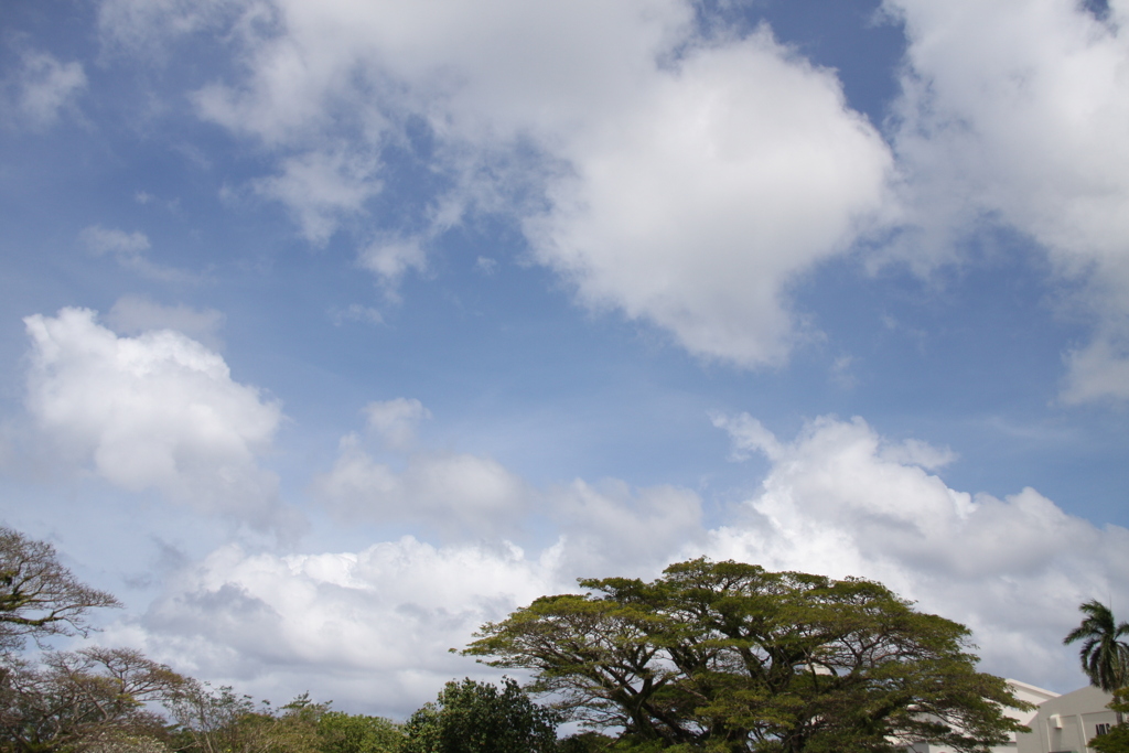 青い空