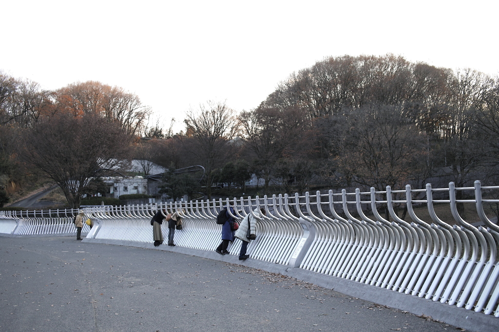 みんな同じポーズ