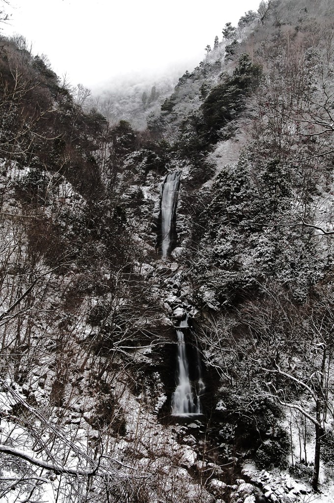 冬.水風景