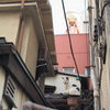 横町小町