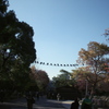 休息