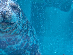 雨の動物園