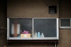DSC00831_DxO