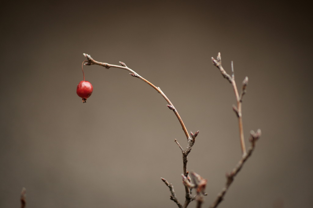 DSC00828_DxO
