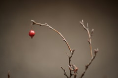 DSC00828_DxO