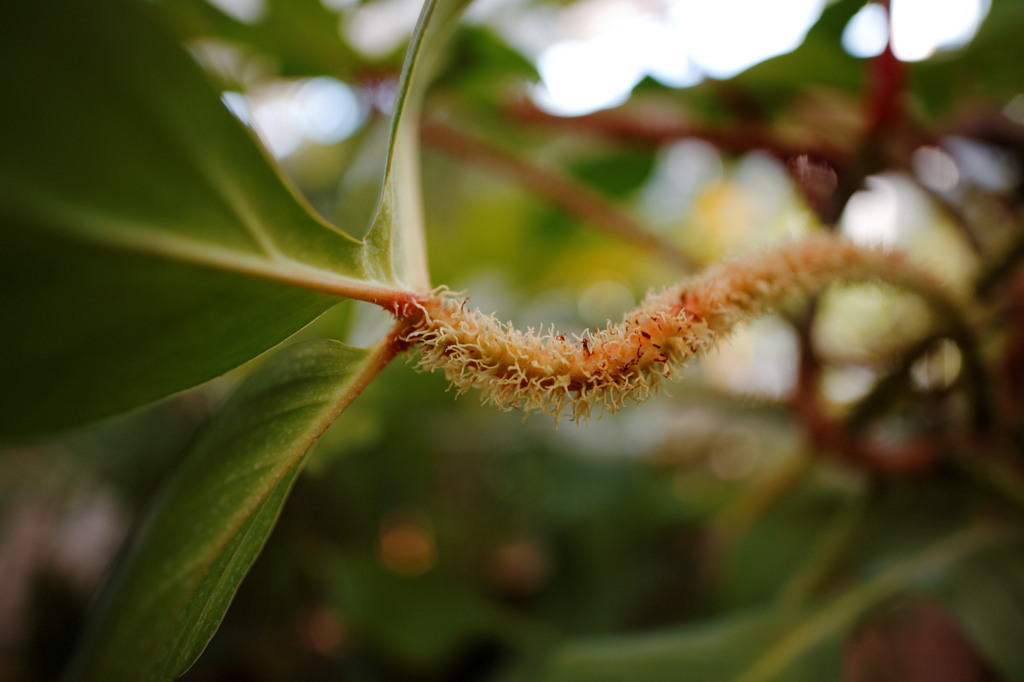 DSC00246_DxO