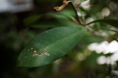 DSC00291_DxO