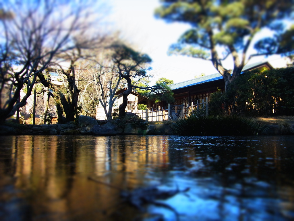 池の氷