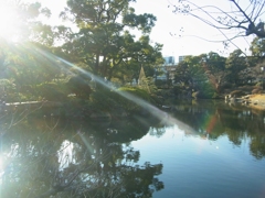 光の悪戯