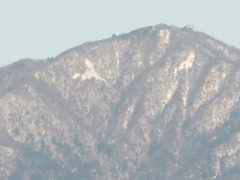 丹沢