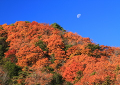 月と赤い山