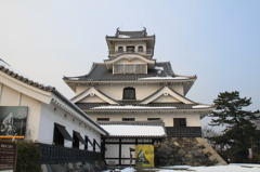長浜城