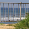 夏の１枚