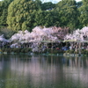 平安神宮
