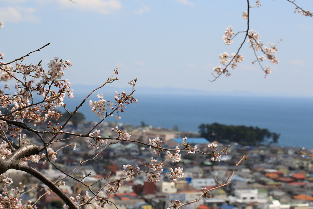 吾妻山公園