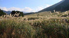 仙石原