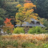 谷戸山の秋