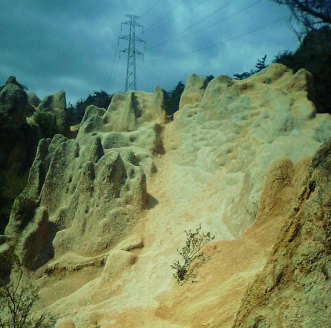 六甲山　風吹岩付近にて