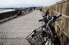 ビーチと自転車