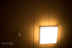 20191130_171052_2O0A3267