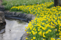 20120401_151331_IMG_7478