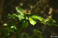 20130501_133519_IMG_8998