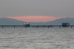 20110305_180732_IMG_2759