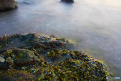 20110326_182036_IMG_2944