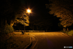 20110429_003101_IMG_3186