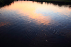 20100929_180139_IMG_0348IMG_