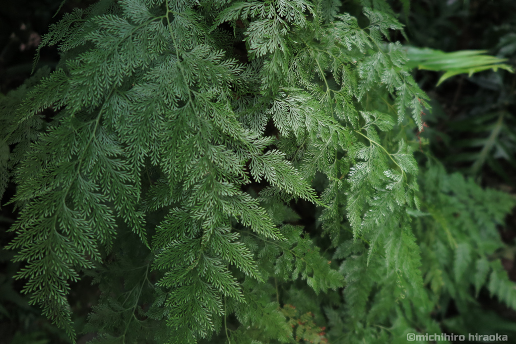 20170603_110553_IMG_0628