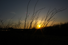 20110226_171854_IMG_2617