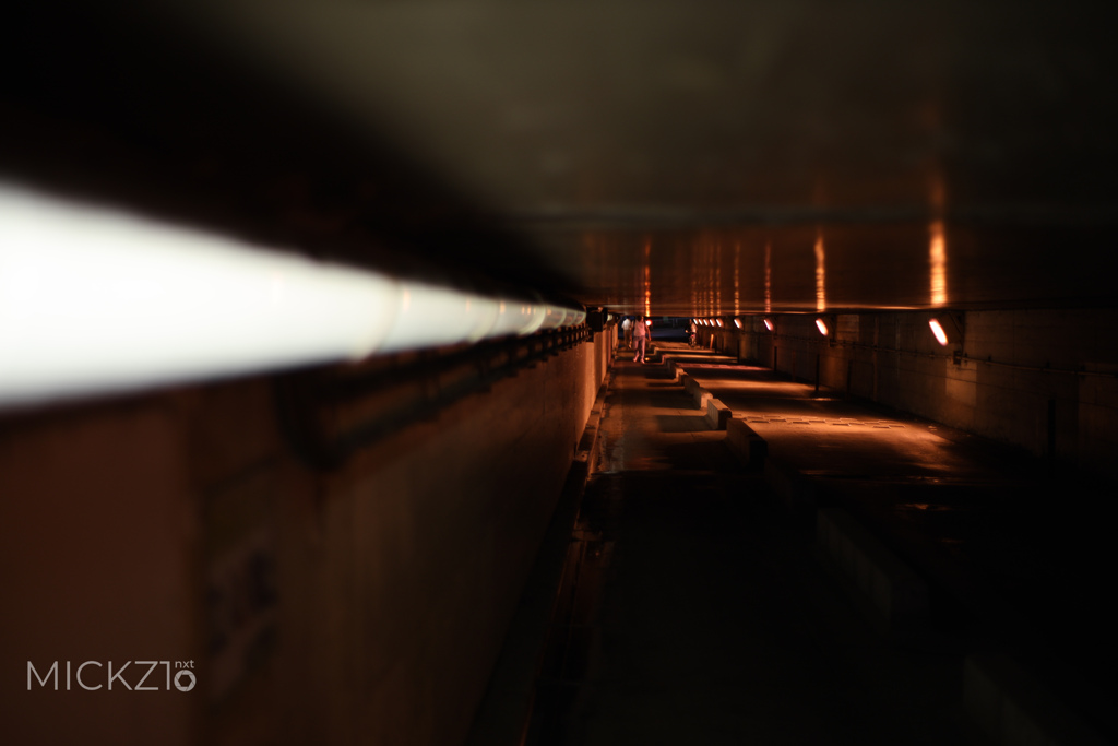 20190911_200947_2O0A2628