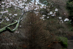 20200328171