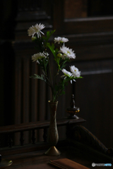 20110604_144301_IMG_3769