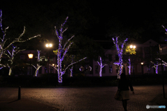 20101030_183644_IMG_1240